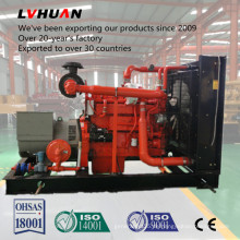 Ce ISO Best in China 24kw-500kw Cummins Erdgas / Biogas Generator